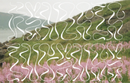Artboard 9