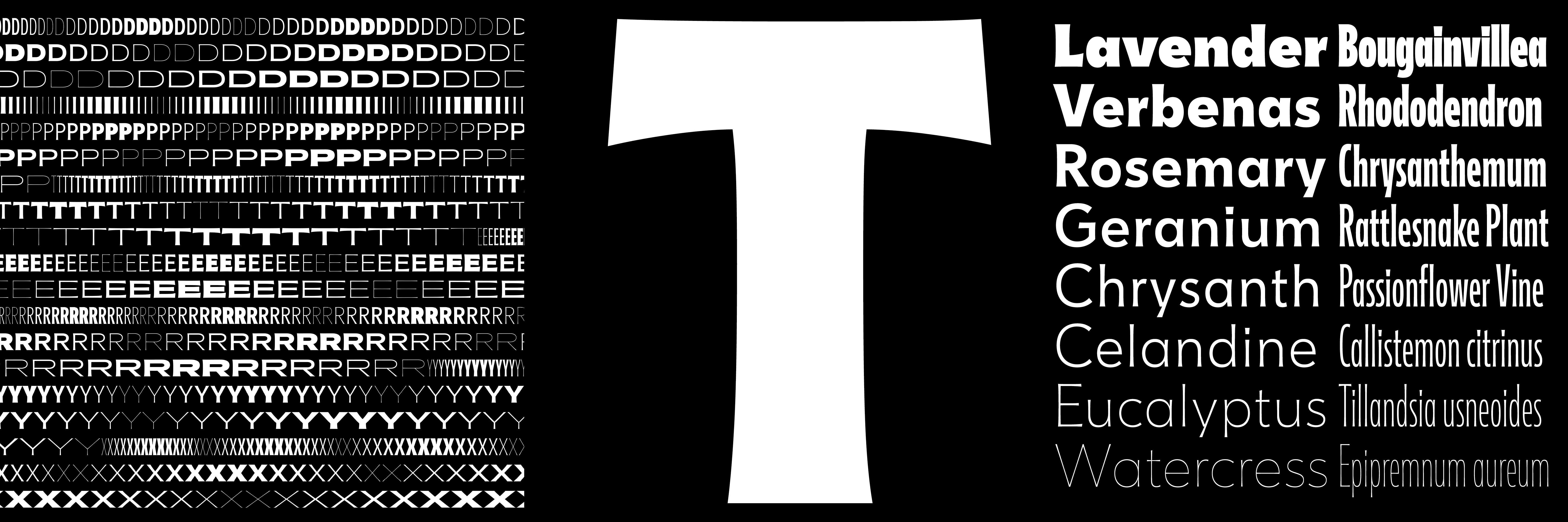 Typefaceoverview11 1