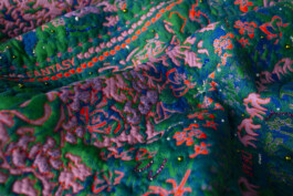 Symbols Of Utopia Details Forzani Hurka Large 01