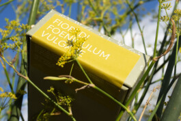 Terrafrata Celinehurka 009