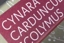 Terrafrata Celinehurka Small 059